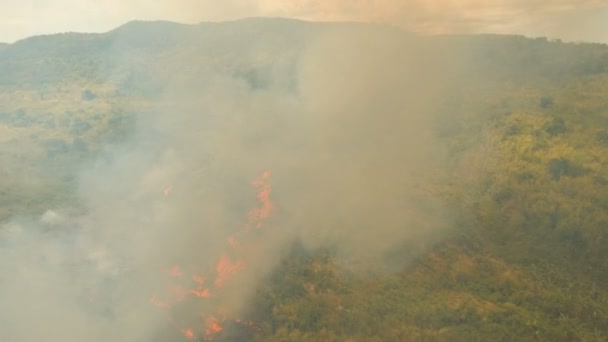 Vue aérienne Incendie de forêt. Busuanga, Palawan, Philippines .