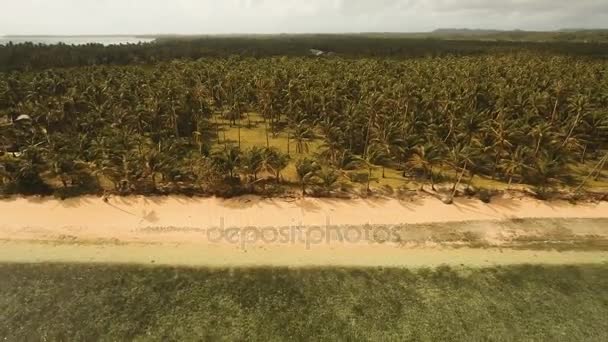 Вид с воздуха красивый пляж на тропическом острове. Philippines, Siargao . — стоковое видео