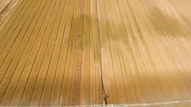 Tarım arazisindeki sulama sistemi.