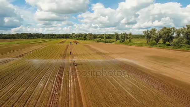 Zavlažovací systém na zemědělské půdě. — Stock video