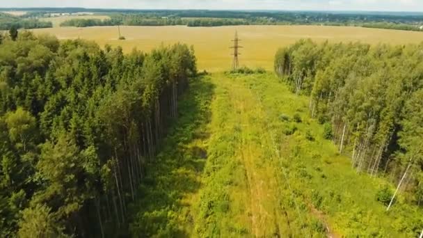 Linha de alimentação de alta tensão. Vista aérea . — Vídeo de Stock