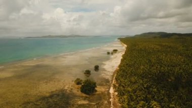 Hava güzel bir plaj tropikal bir adada görüntüleyin. Filipinler, Siargao.