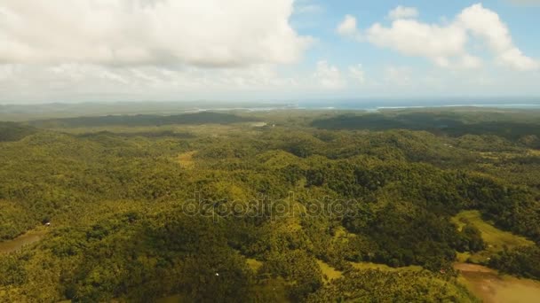熱帯の島、ビーチ、岩と波と海の風景。Siargao フィリピン. — ストック動画