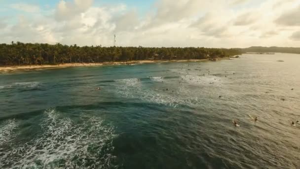 Aerial view surfers on the waves.Siargao, Philippines. Cloud 9. — Stock Video