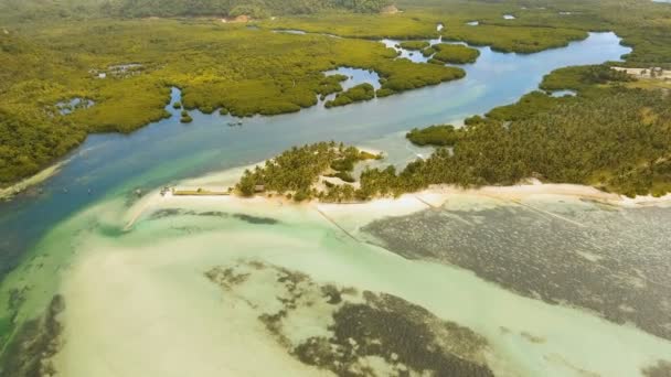 Antenn Visa vacker strand på en tropisk ö. Filippinerna, Siargao. — Stockvideo