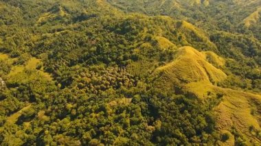 Tropikal orman ile Dağları. Filipinler Siargao Adası.