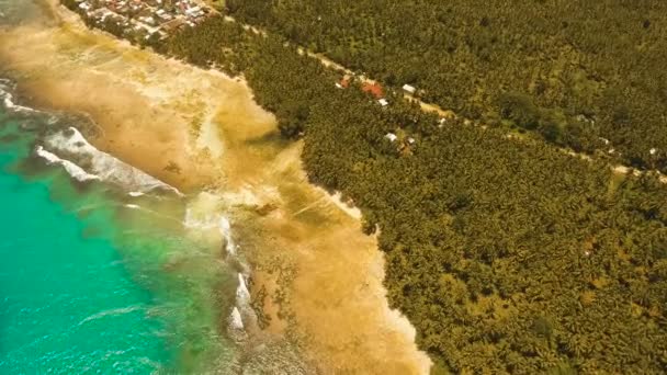 Anteny Zobacz pięknej plaży na tropikalnej wyspie. Filipiny, Siargao. — Wideo stockowe