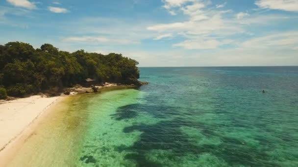 Vue aérienne belle plage sur une île tropicale. Philippines, région d'Anda . — Video