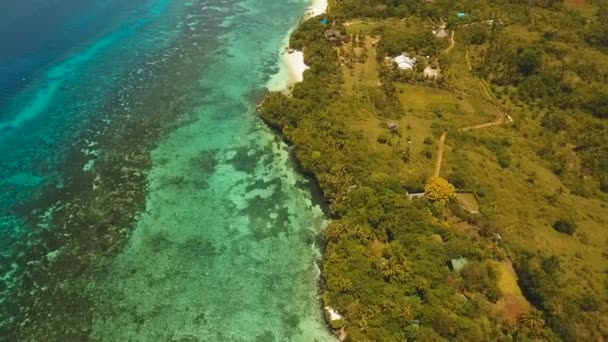 Vue aérienne belle plage sur une île tropicale. Philippines, région d'Anda . — Video