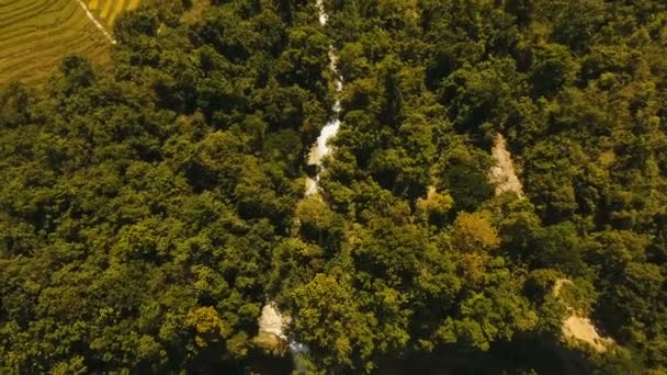 Hermosa cascada tropical. Filipinas Isla de Bohol . — Vídeo de stock