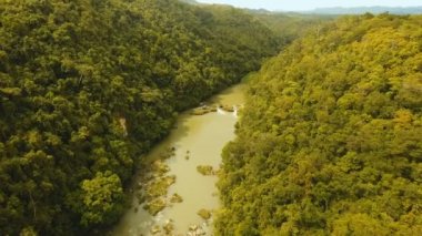 Yağmur ormanlarında Filipinler, Bohol Loboc Nehri.