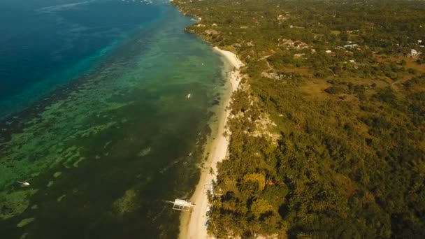 Letecký pohled krásné pláže na tropickém ostrově. Filipíny, Bohol. — Stock video