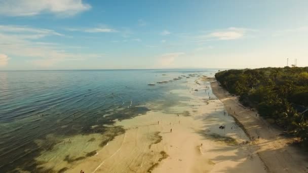 Vista aérea bela praia em uma ilha tropical. Filipinas, Bohol . — Vídeo de Stock