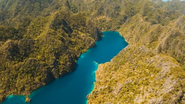 Mountain lake Kayangan op een tropisch eiland, Filippijnen, Coron, Palawan. — Stockvideo