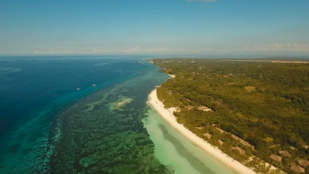 Antenn Visa vacker strand på en tropisk ö. Filippinerna, Bohol. — Stockvideo