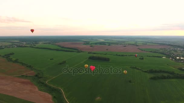 Heißluftballons am Himmel über einem Feld. — Stockvideo