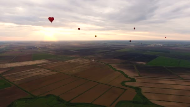 Повітряні кулі в небі над полем. Вид з повітря — стокове відео