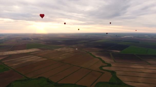 Heißluftballons am Himmel über einem Feld. — Stockvideo