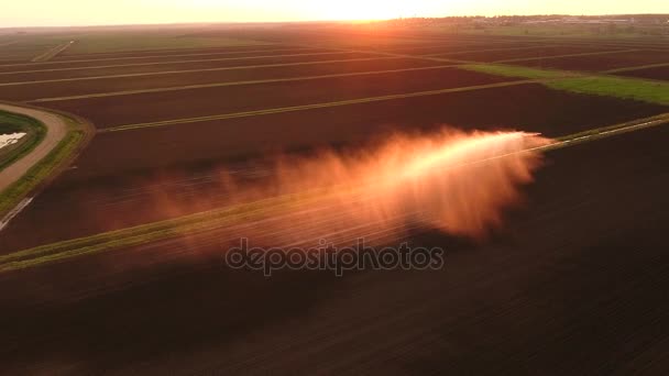 Vista aérea: Sistema de riego que riega un campo agrícola. — Vídeo de stock