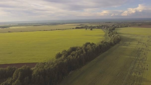 Vista aérea: Volando sobre el campo verde . — Vídeos de Stock