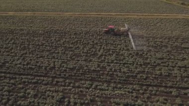 Traktör gübre patates alana püskürtme. Hava video.