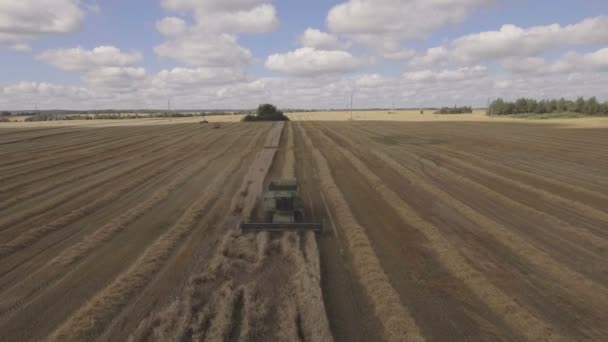 Аерофотозйомка комбайна збирання поля пшениці . — стокове відео