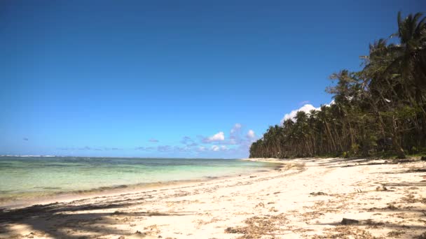 Παραλία σε τροπικό νησί. Φιλιππίνες, Siargao. — Αρχείο Βίντεο