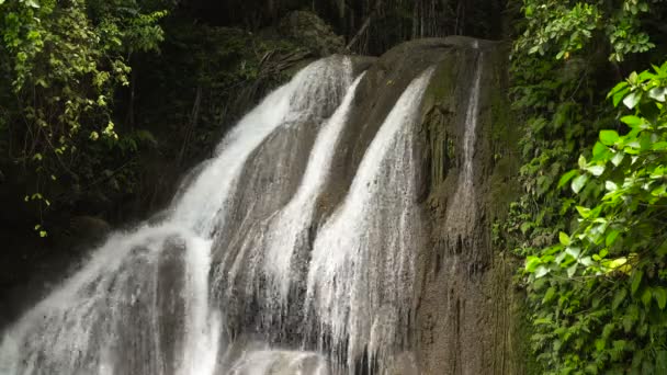 Beautiful tropical waterfall. Philippines Bohol island. — Stock Video