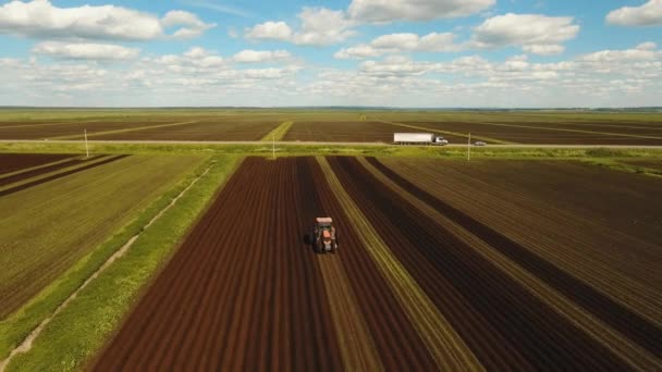 Tractor verbouwt de grond in het veld. — Stockvideo