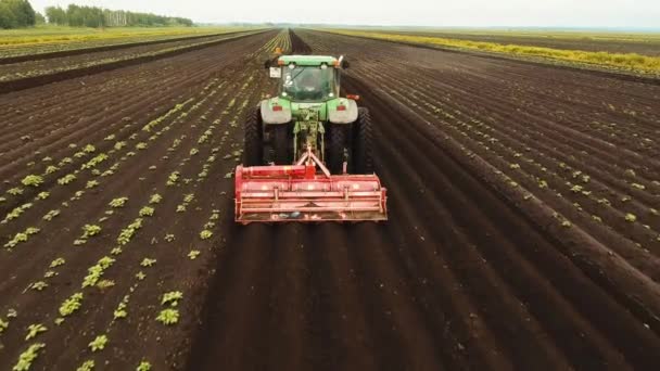 Tractor verbouwt de grond in het veld. — Stockvideo