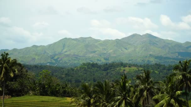 Montagne con foresta tropicale. Filippine Isola di Bohol . — Video Stock