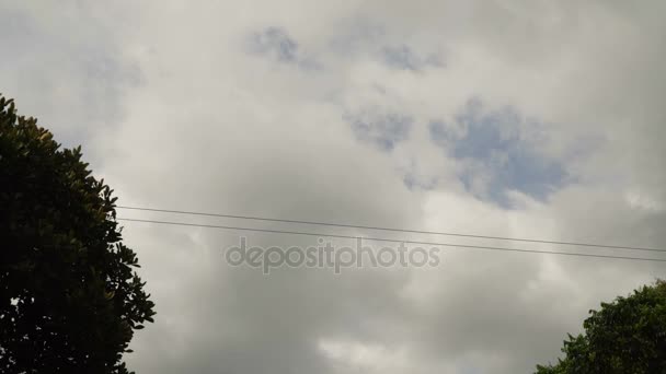 Attractie zipline in de jungle op het eiland van Bohol, Filippijnen. — Stockvideo