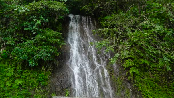 美しい熱帯の滝。フィリピン セブ島. — ストック動画