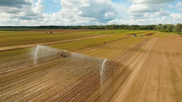 Zavlažovací systém na zemědělské půdě. — Stock video
