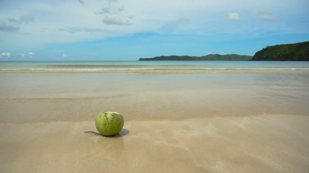 Groene kokosnoot op het strand. — Stockvideo