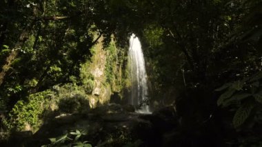 Güzel tropik şelale. Filipinler Cebu Adası.