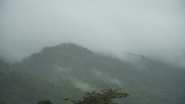 Mist in de bergen. — Stockvideo