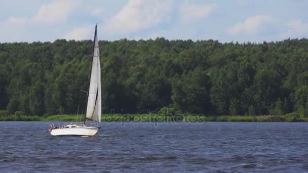 Segelbåt på sjön. — Stockvideo