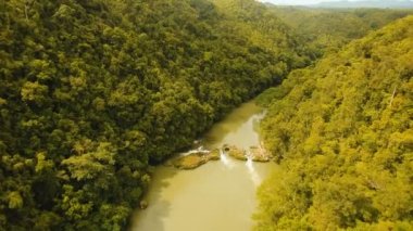 Yağmur ormanlarında Filipinler, Bohol Loboc Nehri.