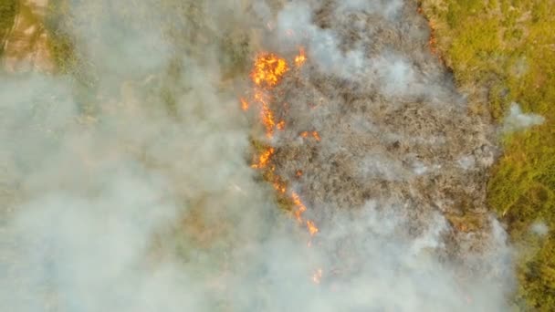 Vue aérienne Incendie de forêt. Busuanga, Palawan, Philippines .