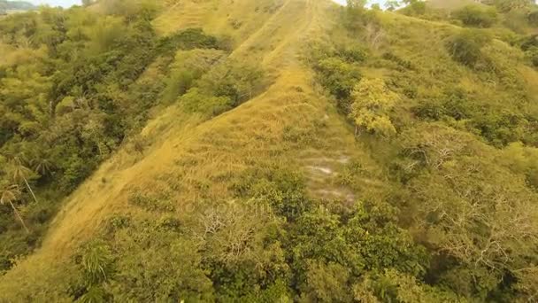 Шоколадные Холмы в Бохоле, Филиппины, Вид с воздуха . — стоковое видео