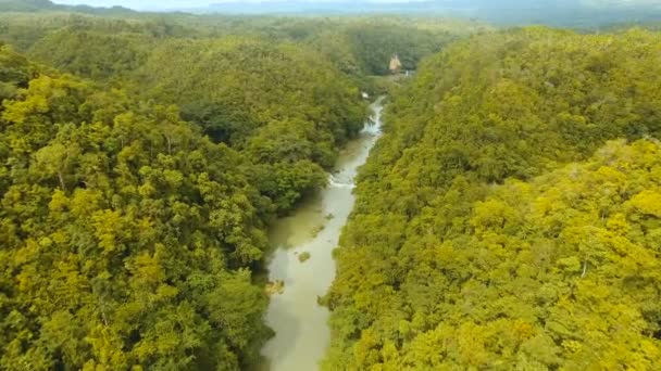 Loboc річка в тропічному лісі Філіппіни, Бохол. — стокове відео