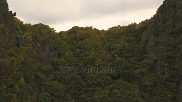Тропічні тропічні ліси в горах, вигляд з повітря . — стокове відео