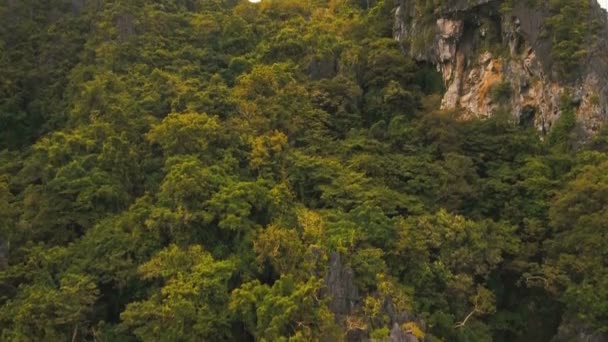 Forêt tropicale humide en montagne, vue aérienne .