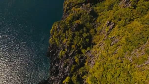 Mare: scogliera oceanica con una foresta. vista aerea . — Video Stock