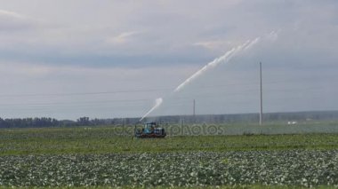 Tarım arazisindeki sulama sistemi.