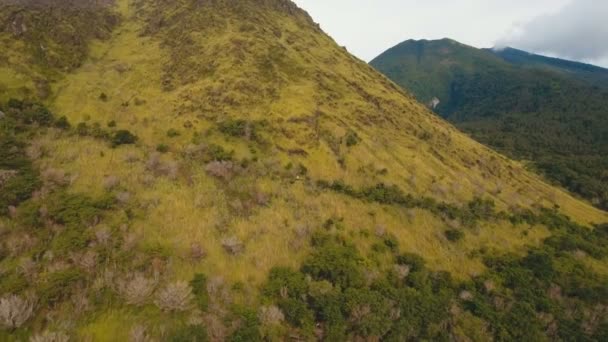 Δέντρα και βλάστηση στην πλαγιά του βουνού. Camiguin νησί Φιλιππίνες. — Αρχείο Βίντεο