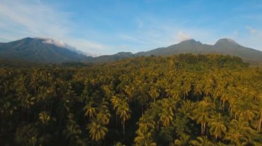 Tropikal orman ile Dağları. Camiguin Adası Filipinler.