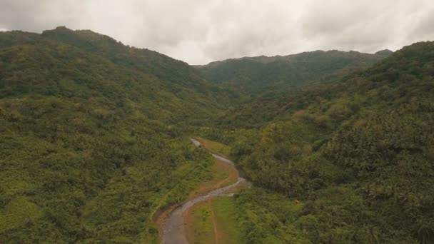山区河流在雨林中。甘米银岛菲律宾. — 图库视频影像
