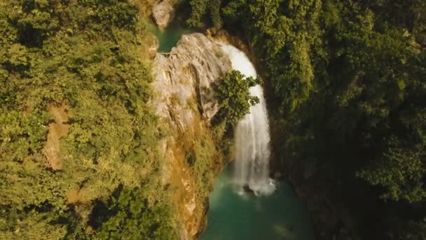 Güzel tropik şelale. Filipinler Cebu Adası. — Stok video
